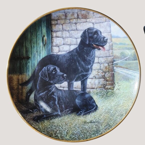 Labrador Retriever Collectible Franklin Mint Decorative Plates Set Of 5 - Picture 2 of 14